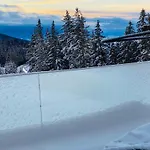 Theresa Chalet *