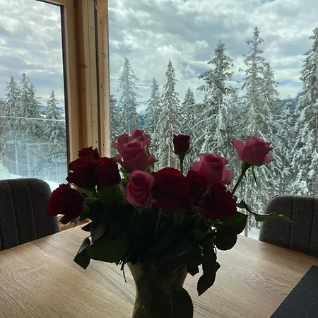 Theresa Bad Sankt Leonhard im Lavanttal