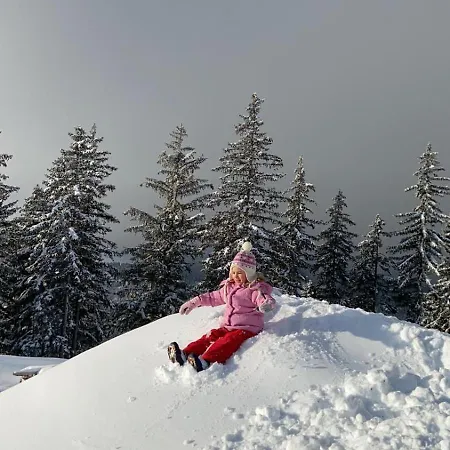 Horská chata Theresa *